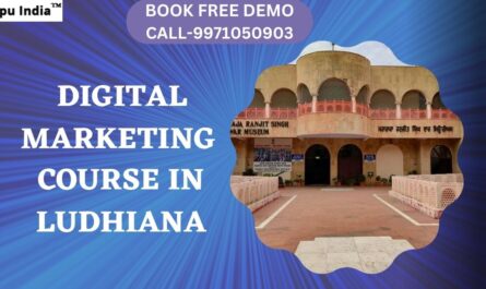 Digital Marketing Course in Ludhiana