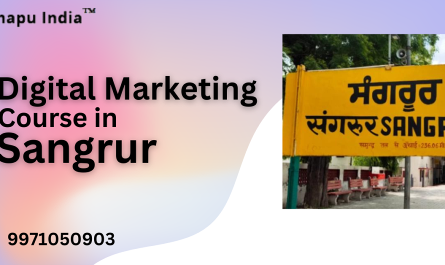 Best Online Digital Marketing Course in Sangrur with 100% Placement